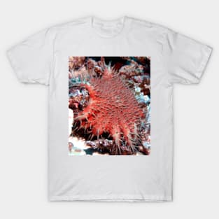 Crown of Thorns Starfish T-Shirt